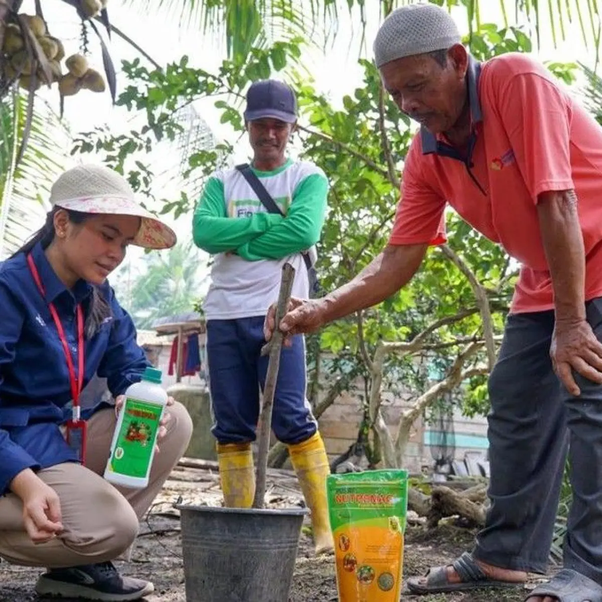 Strategi Jitu Pusri Tingkatkan Panen Petani Melalui Pendekatan Pemupukan Holistik