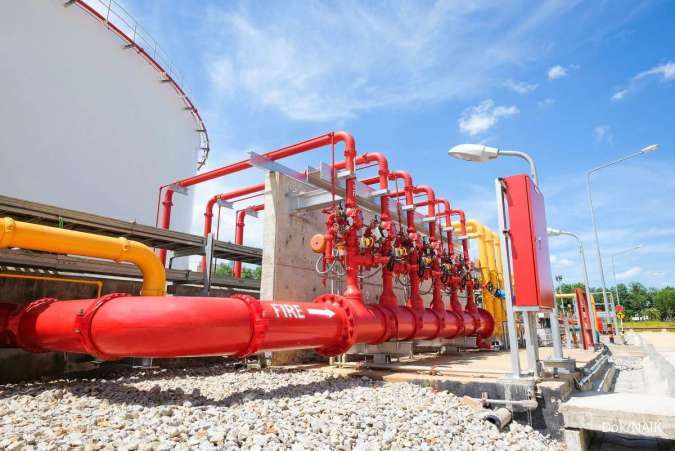 Analisis Strategi Dividen PT Adiwarna Anugerah Tbk (NAIK) di Tengah Dinamika Kinerja Keuangan