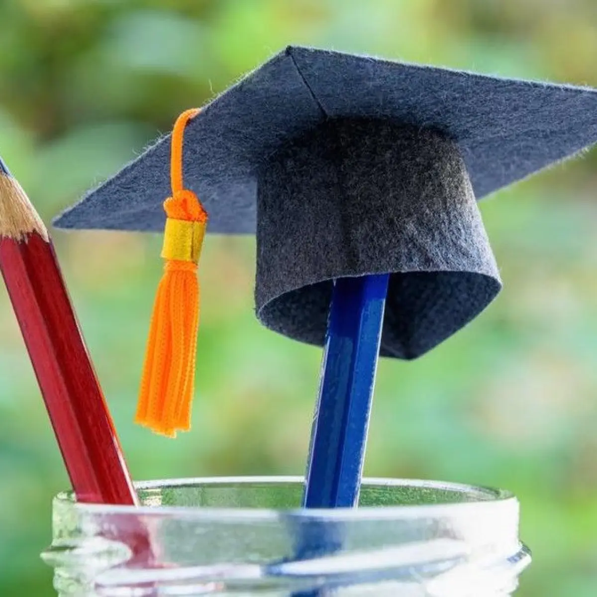 Wacana Penutupan Program Studi oleh Kemdiktisaintek Tuai Kritik, Pakar Soroti Masalah Distribusi Guru