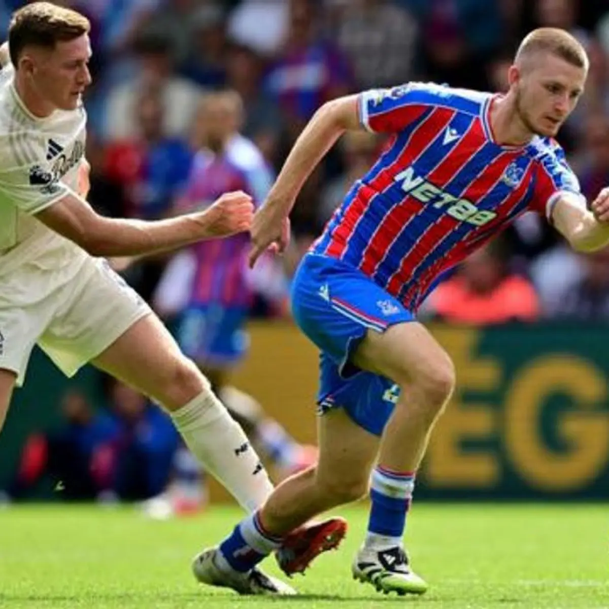 Persaingan Sengit di Bursa Transfer: Real Madrid Incar Adam Wharton