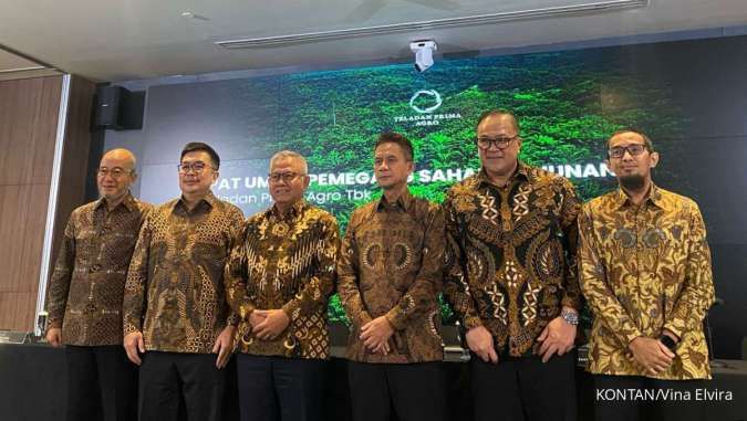 Memahami Strategi Analisis Keuangan TLDN di Kuartal I 2026: Mengapa Laba Tertekan Saat Pendapatan Naik?