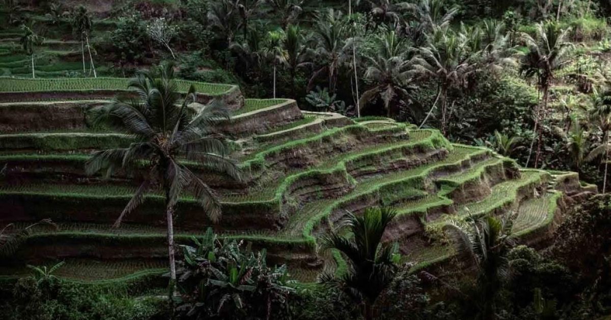 Dilema Investasi Properti di Denpasar: Ketika Sertifikat Resmi Tak Menjamin Izin Bangunan