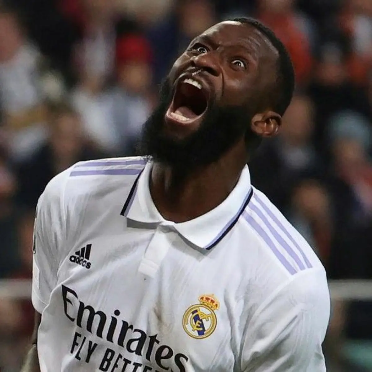 Insiden di Balik Layar: Konflik Internal Real Madrid Terbongkar