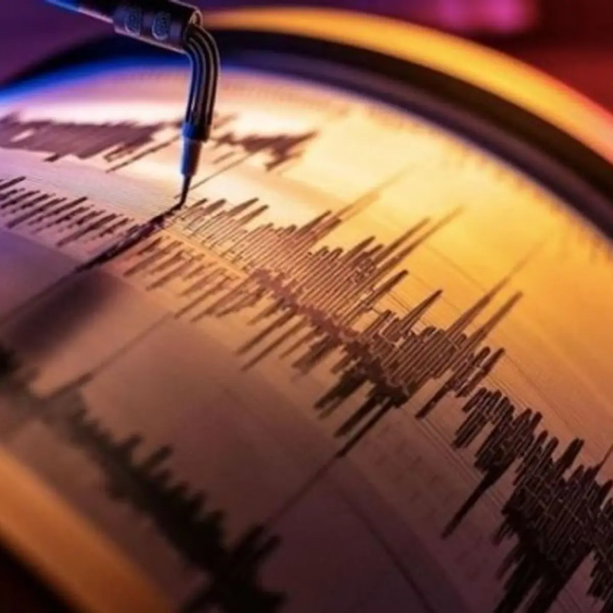 Update Kondisi Sigi Pasca Gempa M4,8 Akibat Aktivitas Sesar Palukoro