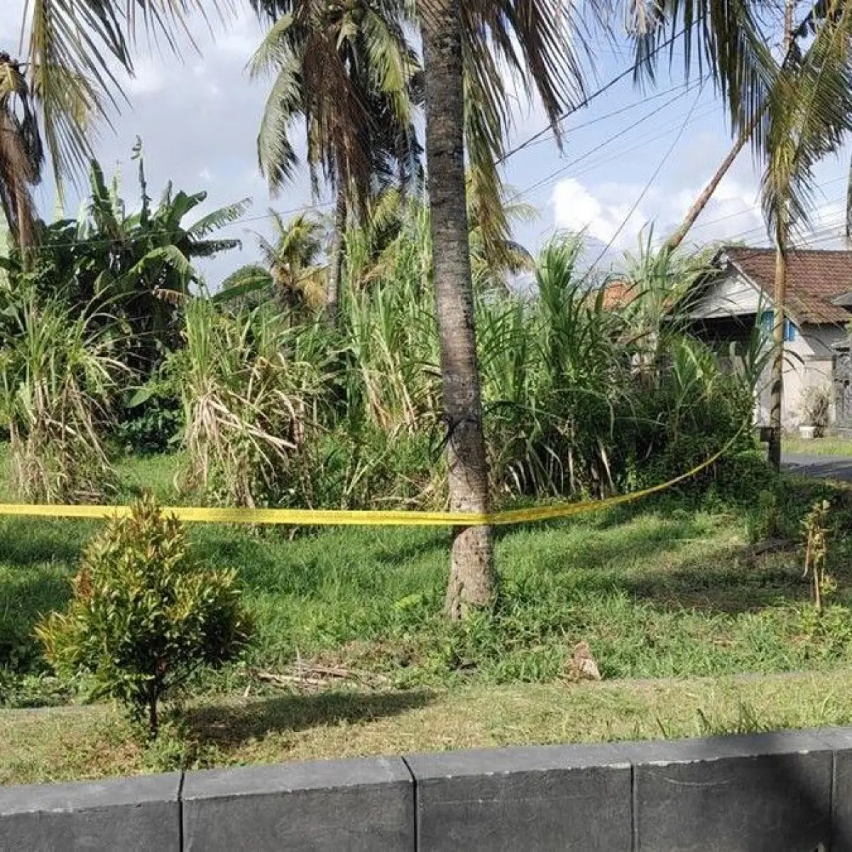 Dinamika Keamanan Bali: Analisis Kasus Kriminalitas dan Penemuan Jasad Misterius Sepekan Terakhir