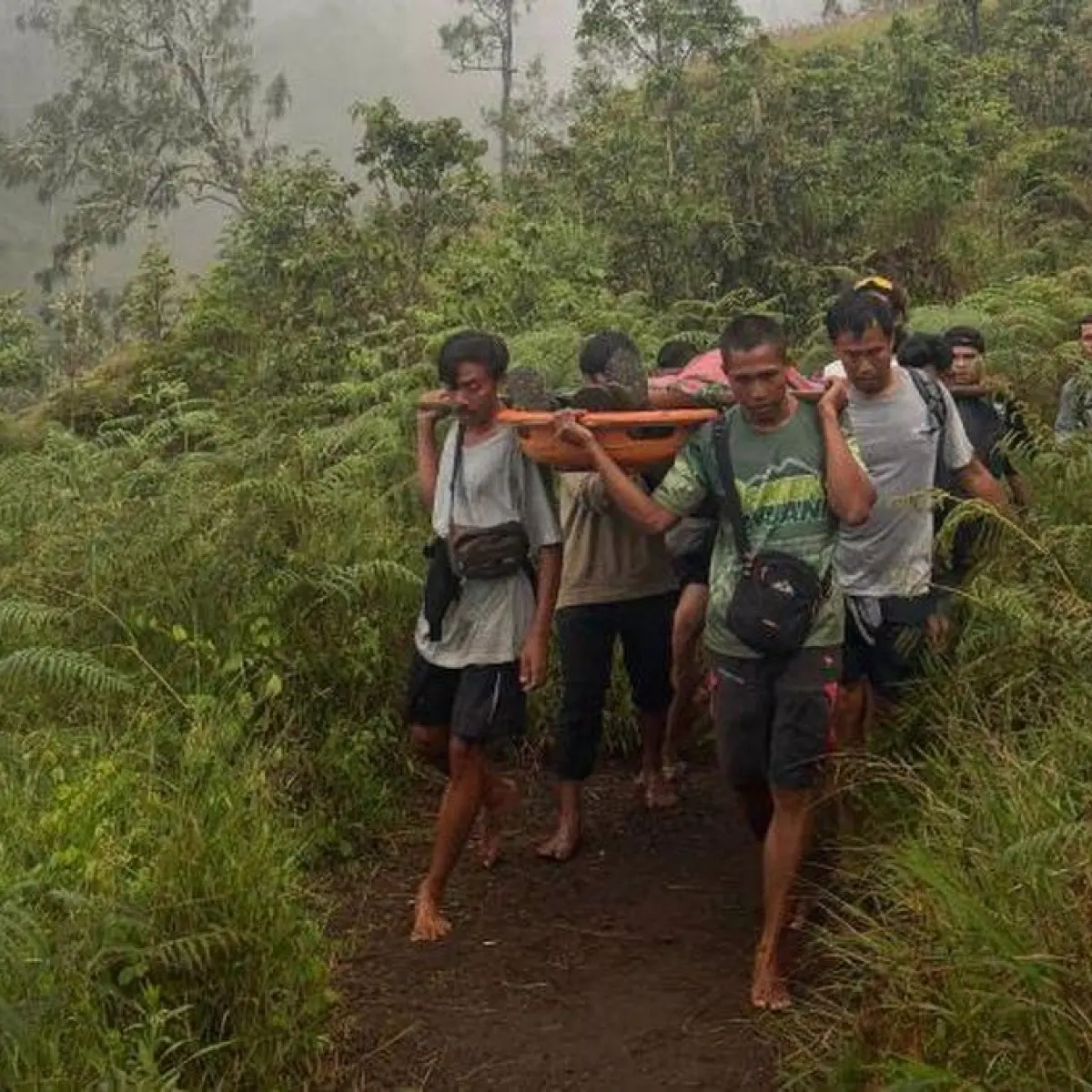 Petugas gabungan mengevakuasi pendaki Sukabumi yang meninggal di Gunung Rinjani (ANTARA/HO-Balai TNGR NTB.