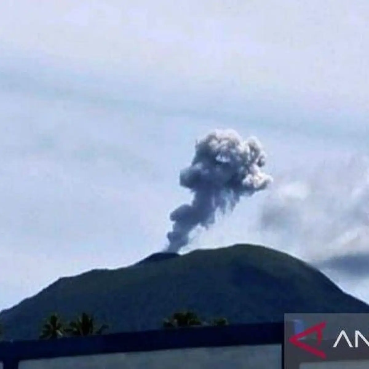Update Aktivitas Gunung Ibu Halmahera: Erupsi Kolom Abu 800 Meter dan Status Terkini PVMBG