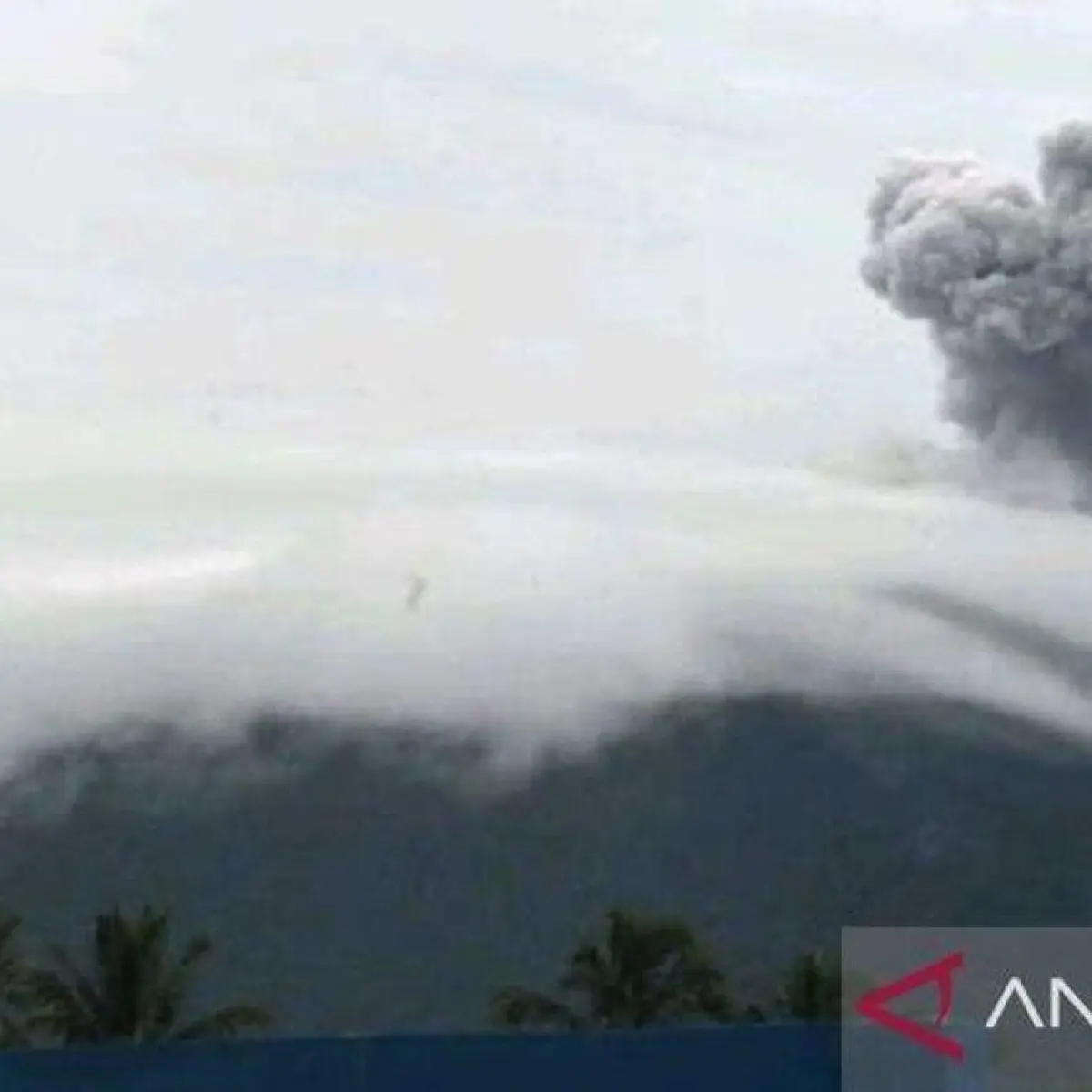 Update Terkini Gunung Ibu: Badan Geologi Perluas Radius Aman Jadi 3,5 Kilometer