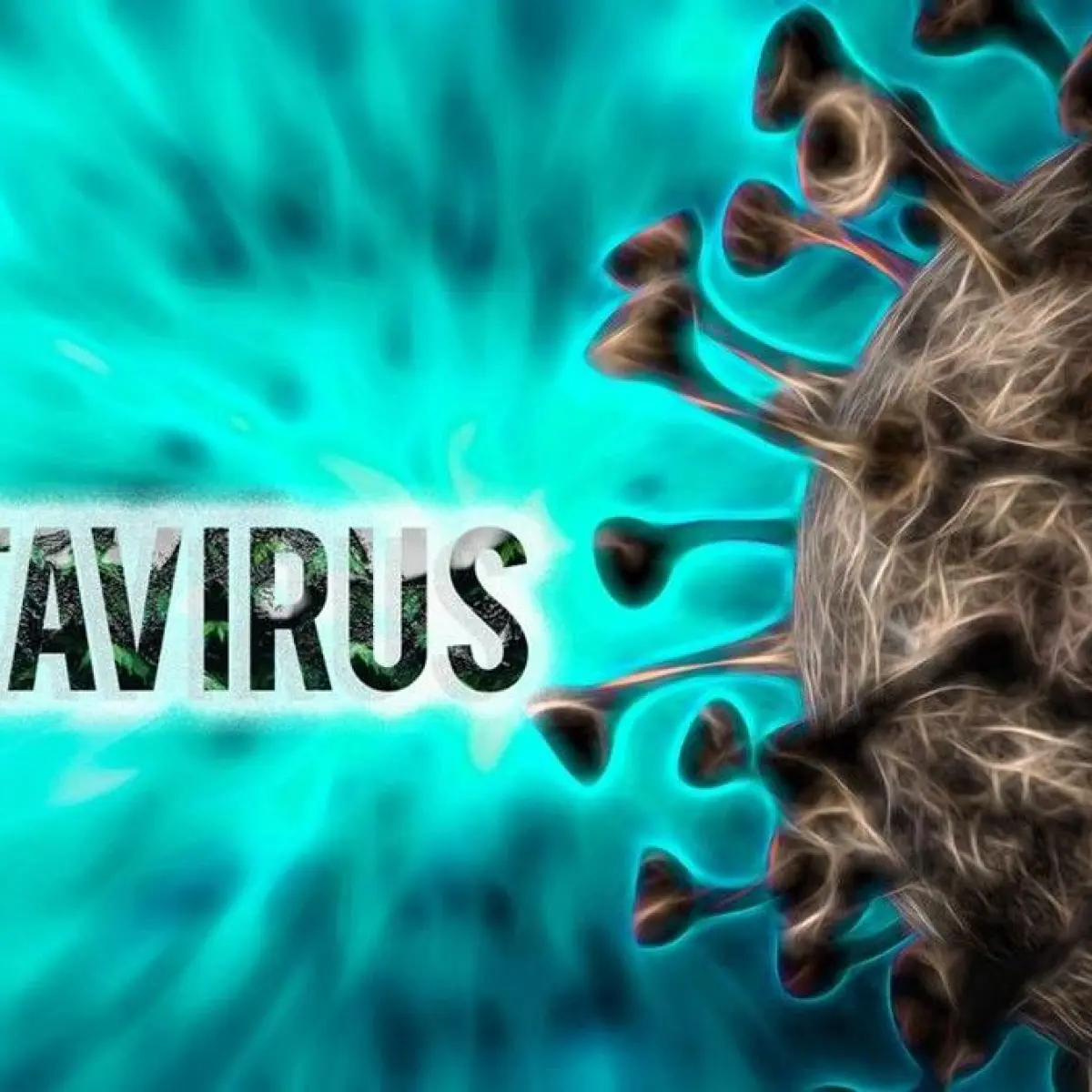Kemenkes Luruskan Isu Hantavirus di RSHS Bandung: Kasus Lama 2025 dan Bukan Wabah Baru