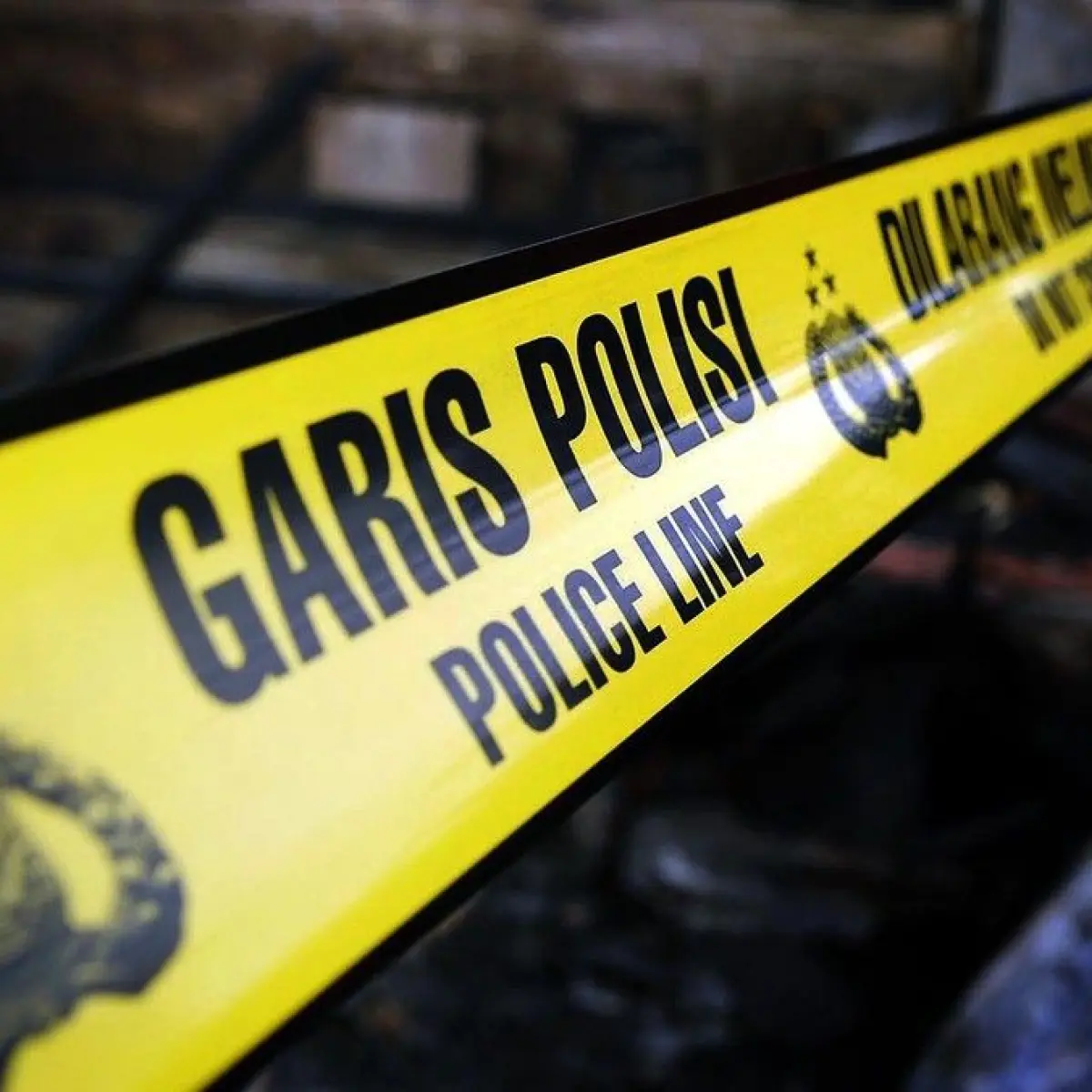 Menguak Kronologi dan Motif Curas di Tanah Sareal Bogor, Terduga Pelaku Kini Diringkus Polisi