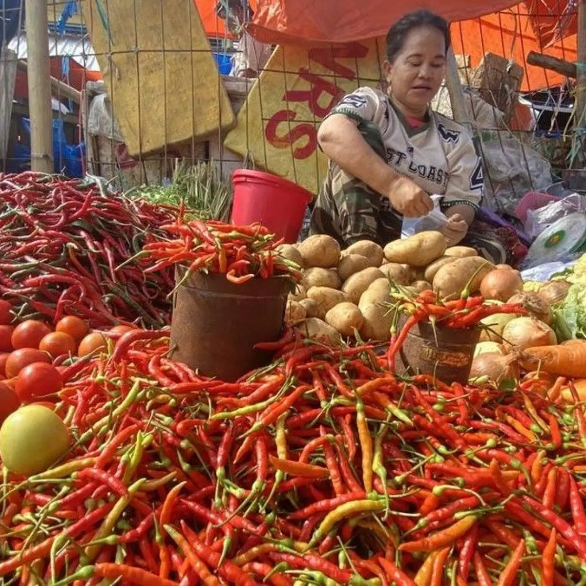 Fluktuasi Harga Kebutuhan Pokok: Bawang dan Minyak Goreng Melambung, Sementara Komoditas Cabai Justru Stabilisasi